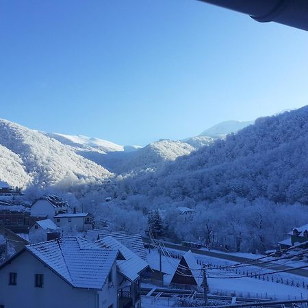 Bed and Breakfast Std Cvetkovic Crni Vrh Esterno foto