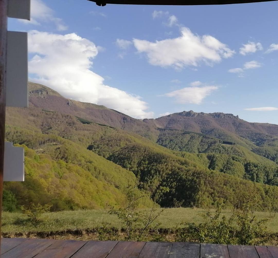 Bed and Breakfast Std Cvetkovic Crni Vrh Esterno foto