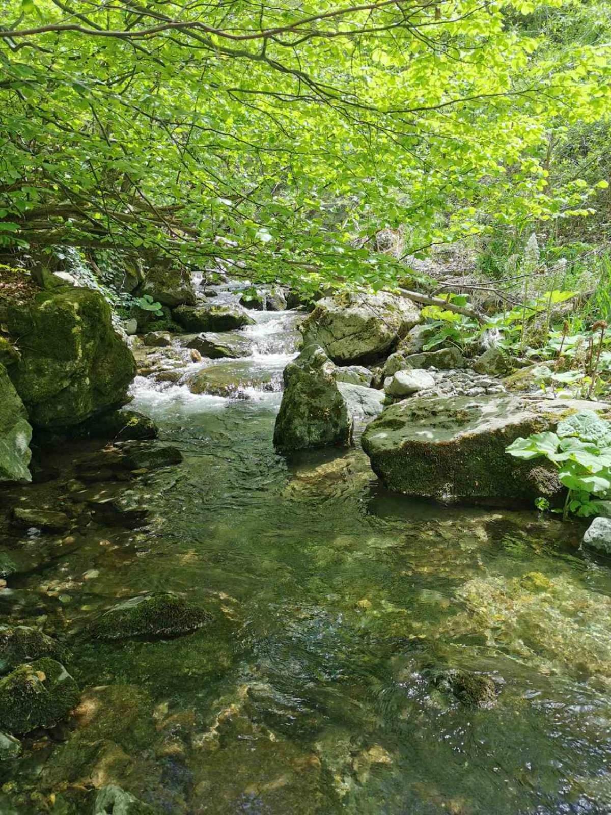 Bed and Breakfast Std Cvetkovic Crni Vrh Esterno foto